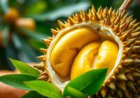 Durian – właściwości zdrowotne, składniki odżywcze i korzyści